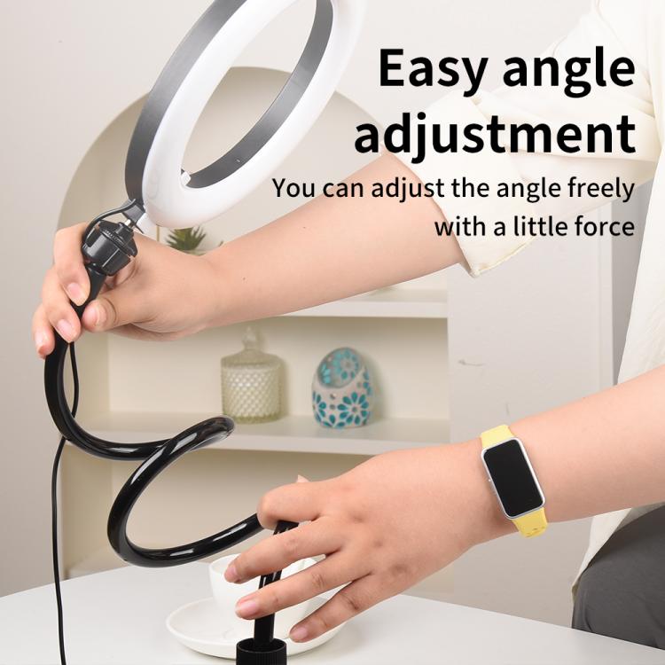 EDA0085570_B6.jpg@f25e5de89e7e0961c06e2381f8b60c34