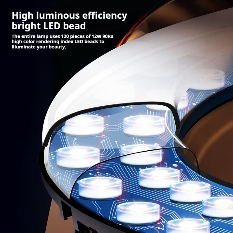 EDA0085570_B8.jpg@fe630a94342398d41472300a67072a54