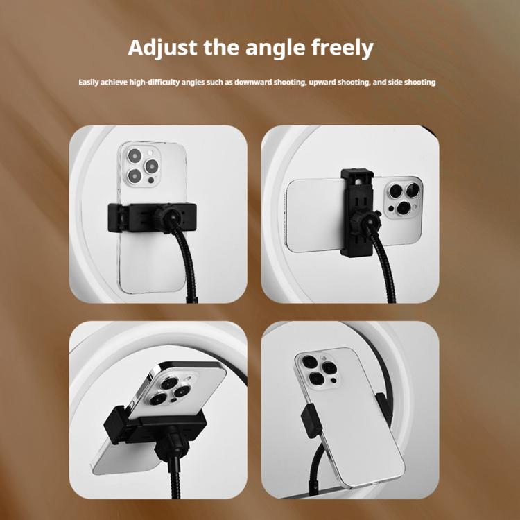 EDA0085575_B7.jpg@0b4c131802ff2245b7306ed6895d9daf