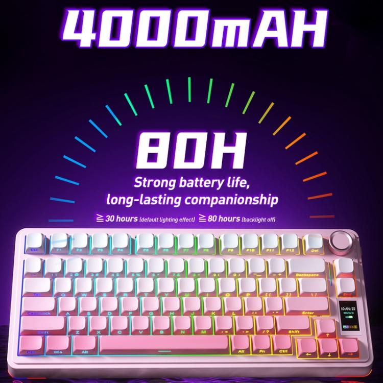 EDA0085751_B8.jpg@bba9b96c2180d93f4e6185355ecfb1bb