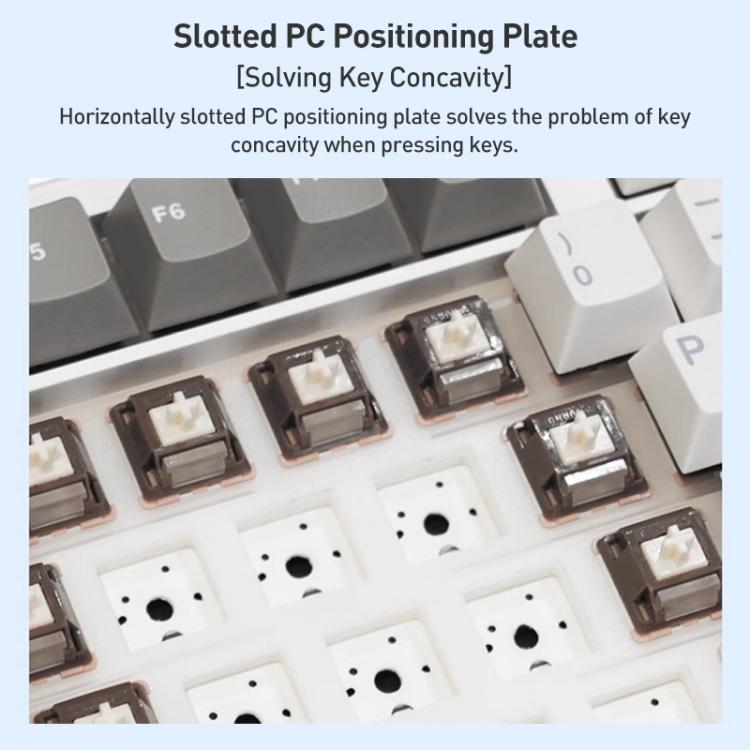 EDA0085754_B7.jpg@148b8b2293f6fb9dc4e888dd3c43cd2c