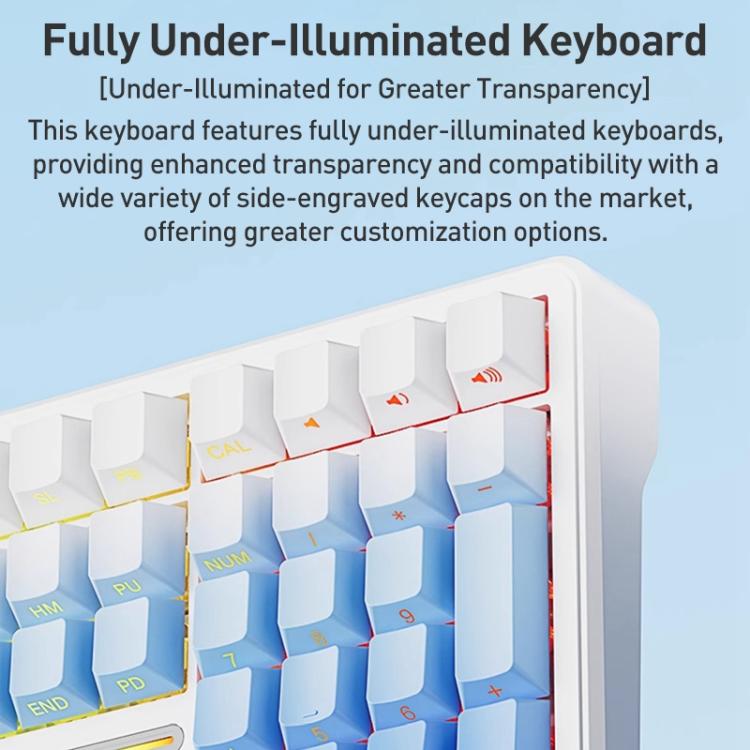 EDA0085754_B9.jpg@79e26e2f0d6cd14bc482a2b1c48ca1d4