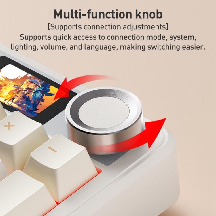 EDA0085756_B4.jpg@13017b4dbef2a24db17dbfe7338aafde