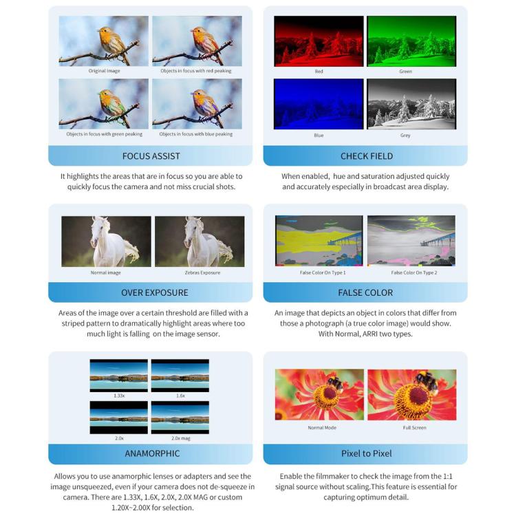 EDA008617701A_14.jpg@78137a3795f328a043657fa852af46dd