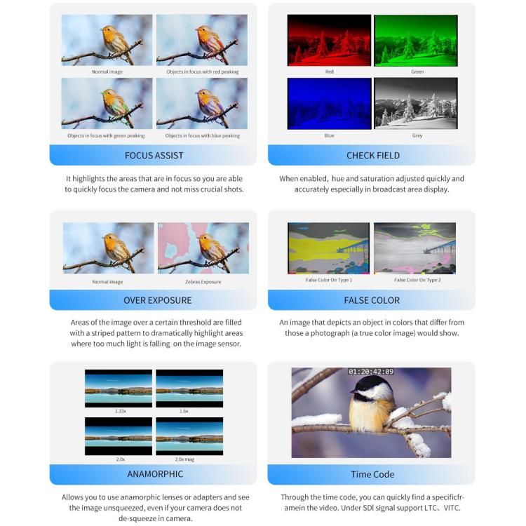 EDA008618201A_12.jpg@c676e4a081fd0e796b9a8a81f66c6c26