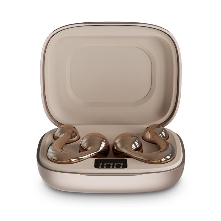 EDA008757501B_1.jpg@86fb92ae53540898ec829256c0ed290d