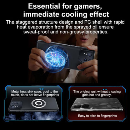 EDA008857801A_9.jpg@50638301da425df2cfcdfe6b172714a9