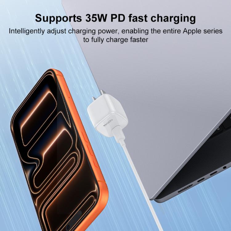 EDA008867901A_8.jpg@8871c1fe13e849f0aa01d4a1907e8ae0