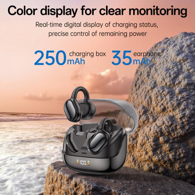 EDA008868701A_4.jpg@05e03f120f515e332a9ad983f9983af6