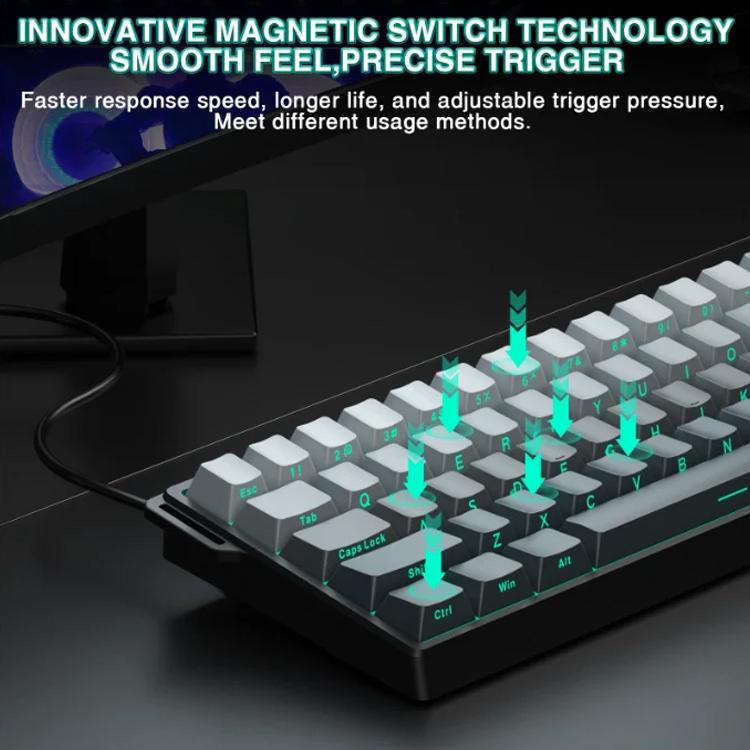 EDA008878801A_2.jpg@029e2fe217bfb1973fa1df485bdd8531