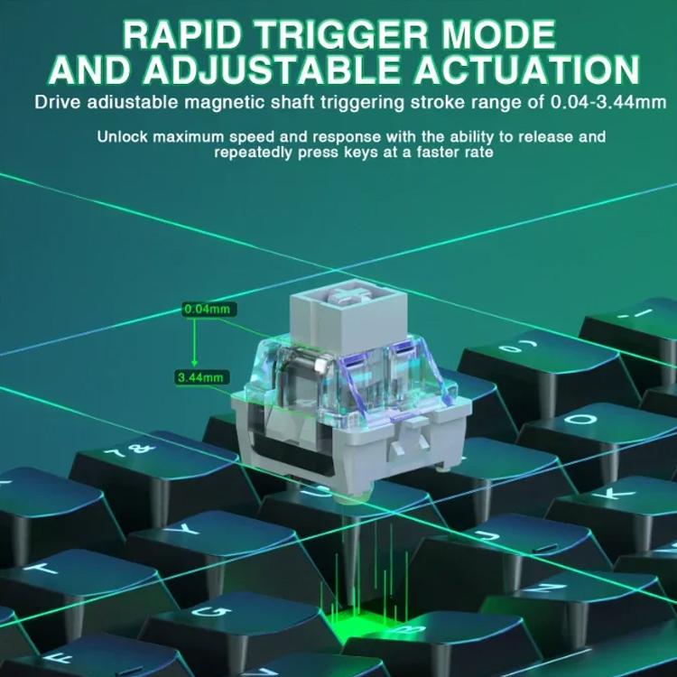 EDA008878901A_2.jpg@a92f507a5472fa14b73f7d34a3346793