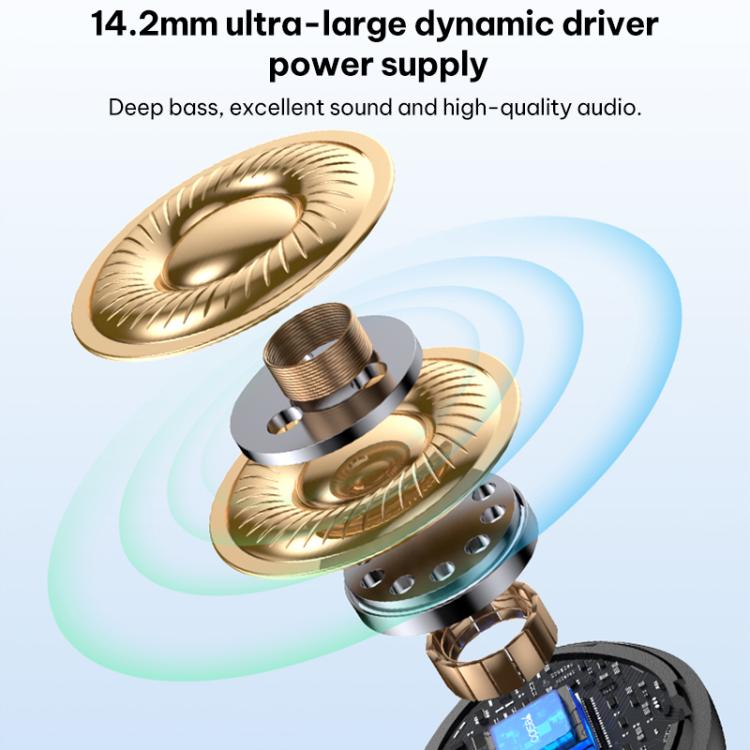 EDA008882301A_3.jpg@4fe8a004b1d2ef327ce5903eca150ede