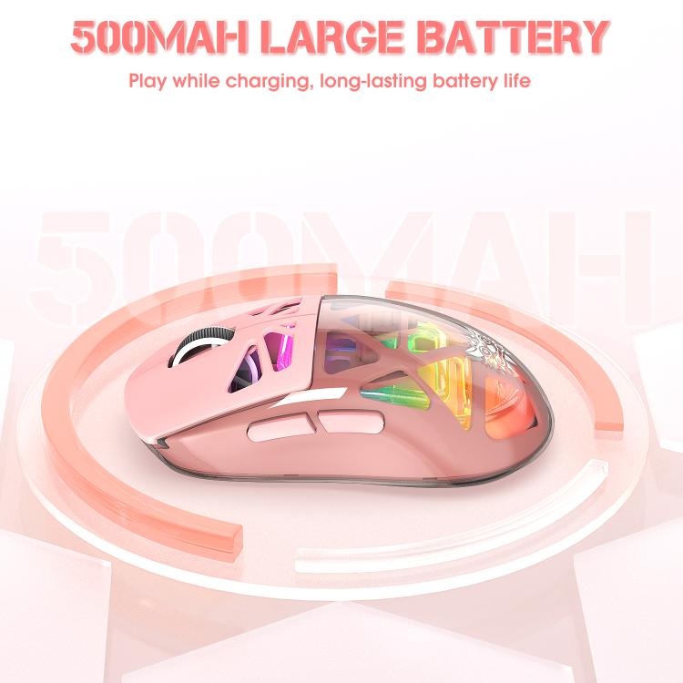 EDA008893301B_3.jpg@53c9509c84003f4865e3e58d0c451197