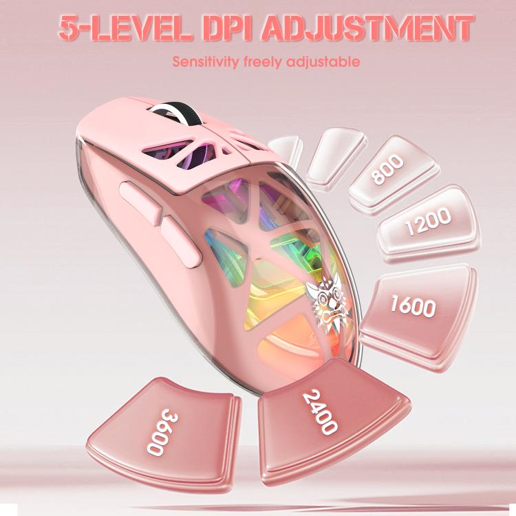 EDA008893301B_6.jpg@f00c9de18f11ddf57dff0e7cb8a90bad