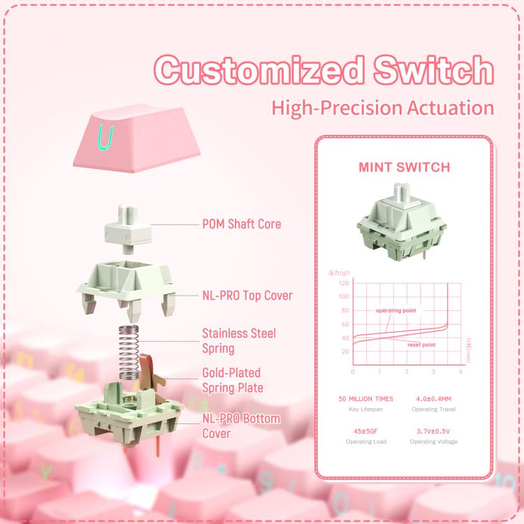 EDA008900601A_8.jpg@033671dceedb0acc8cd90e353a6f3d2c