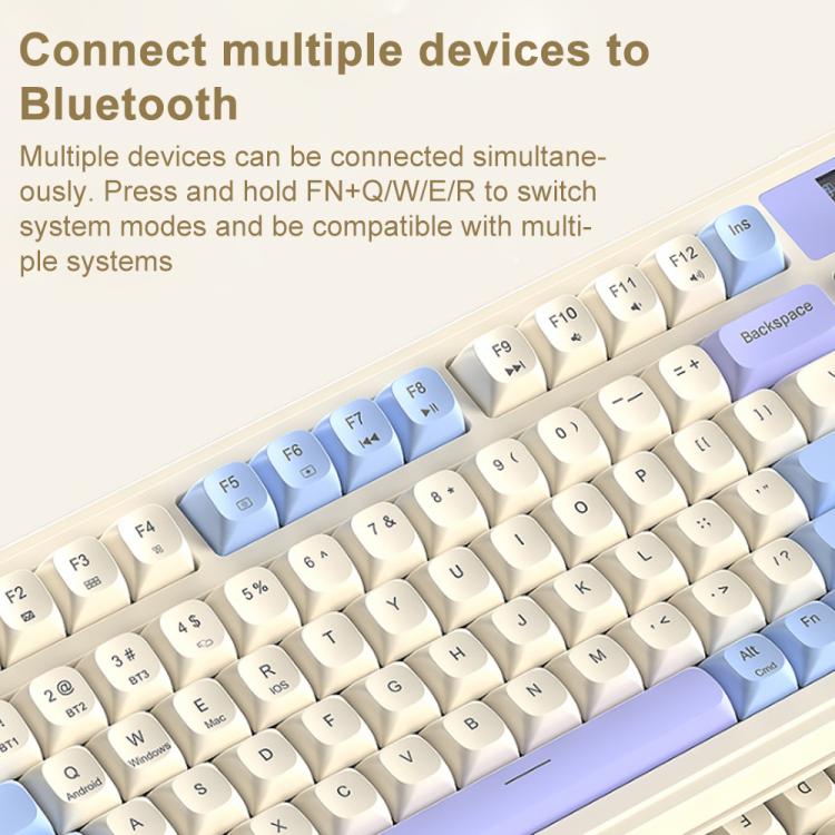 EDA0089442_B3.jpg@1c50ff867ebe96e208436b7b1c477646