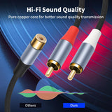 Conectores RCA chapados en oro sobre un disco de vinilo, calidad de sonido Hi-Fi
