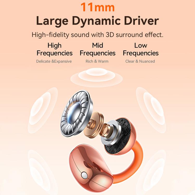 EDA0089663_B4.jpg@c07edfb549658a5b9c467fcfda053f8e