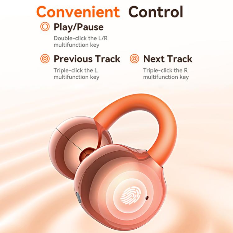 EDA0089663_B8.jpg@1312df06b4b7e2728a558c62099a598e