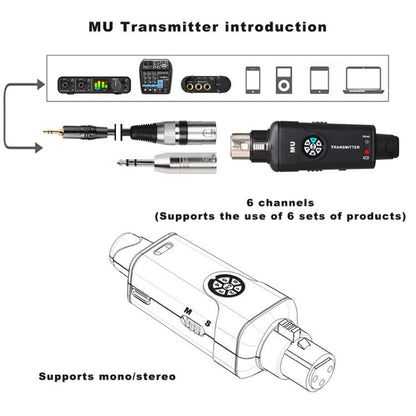 EDA009314101A_4.jpg@cbc854bfa821f225955f48b9598183b3