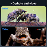 EDA0093274_B3.jpg@5d51e8637713a1febee5b55e9faec406