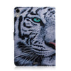 IPRO01732_2.jpg@2378bfa17c278daedd3d4879120741bf
