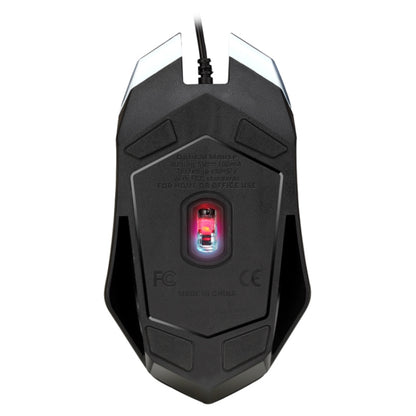 KB6217_2.jpg@a75bc9916c9891bafd3f3b095401c0d4