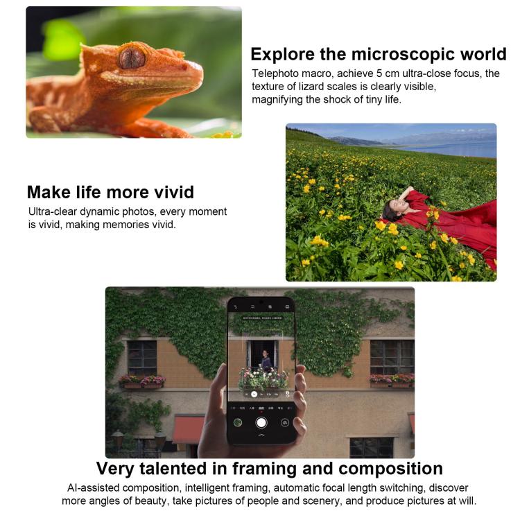 MPH4407_B8.jpg@9c43939dea5bbf4c43c5e3799506977c