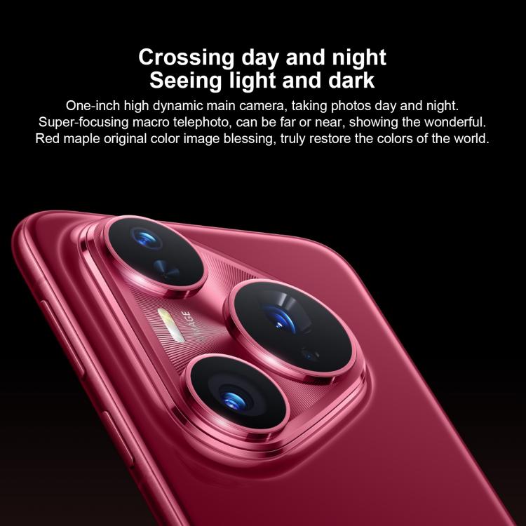 MPH5401_B4.jpg@9436492d78b2615626323fc69f86785d