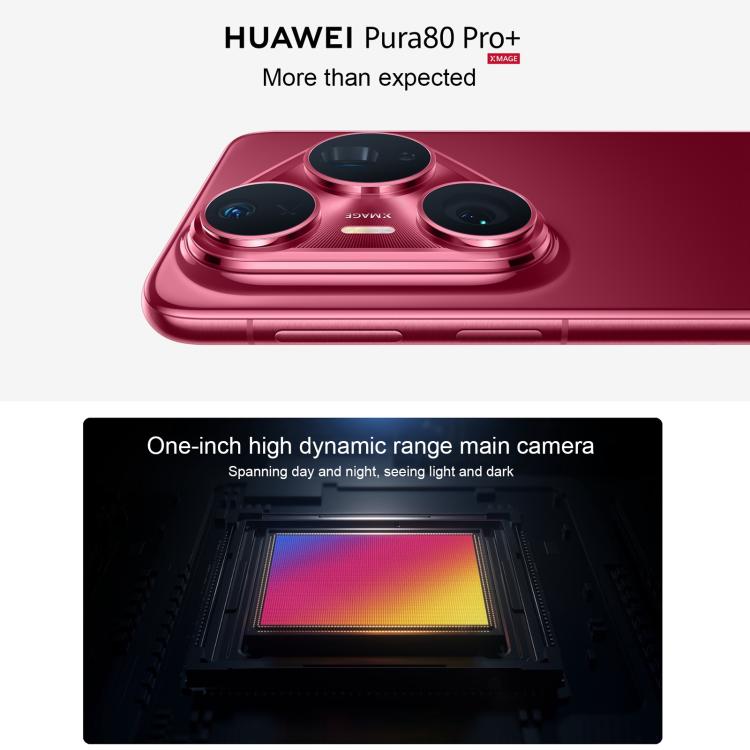 MPH5402_B1.jpg@ff590da59ebd1a27d28a149f00afb1f1