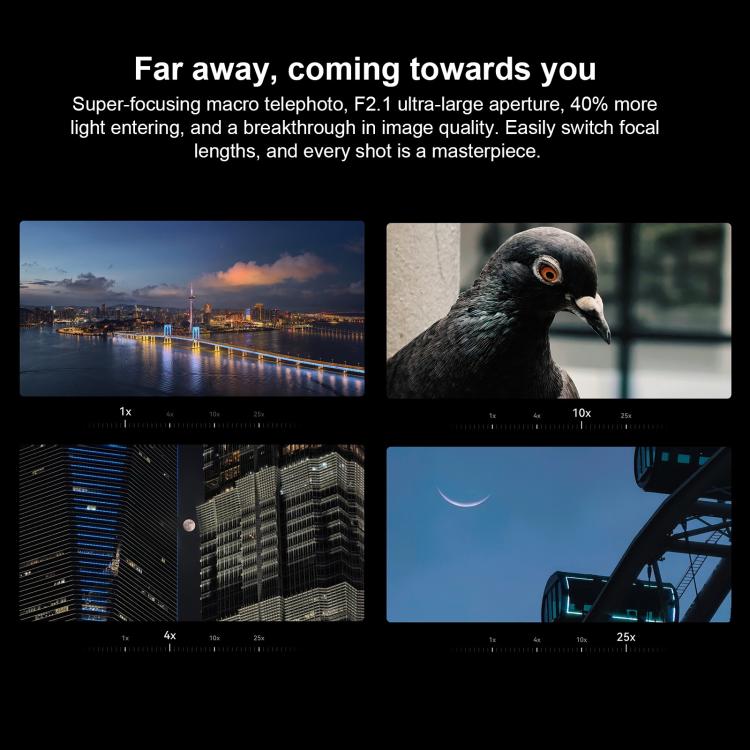 MPH5402_B7.jpg@1b7f66402cd400b4b70b7fd037eb36b4