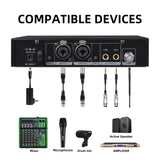Conexiones del DEBRA SW-1 con consola, micrófonos y parlantes activos