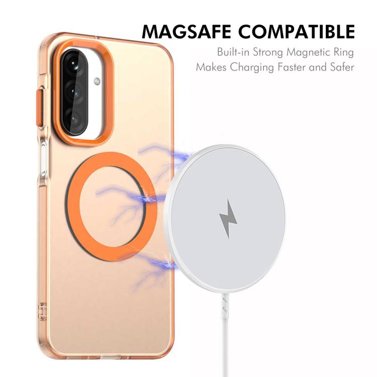 SYA003220202C_2.jpg@54c5eabb1d34920fd1c43dcefc955e03