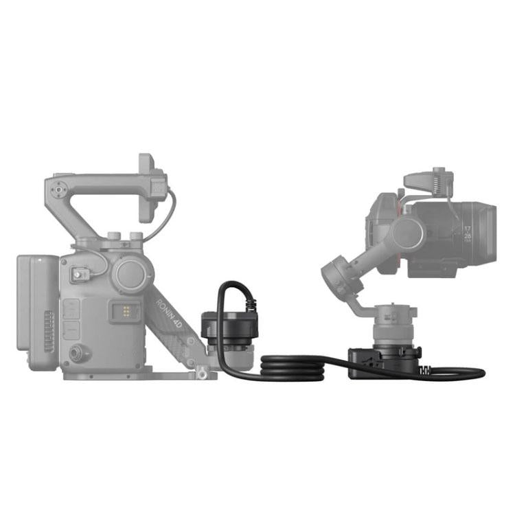 TBD06039225_2.jpg@88f6d24927ebe0ab31f8008b2c55a22c