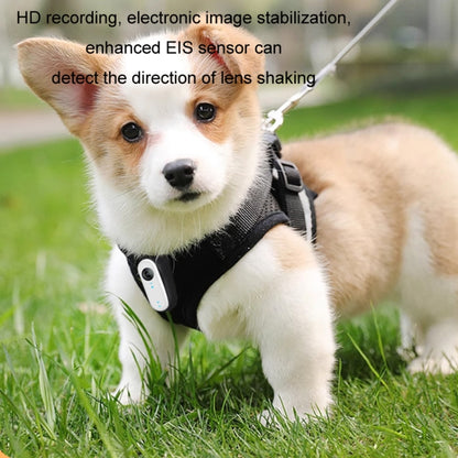 TBD06055476_B2.jpg@599768188402591c71e6ea86b27dc962