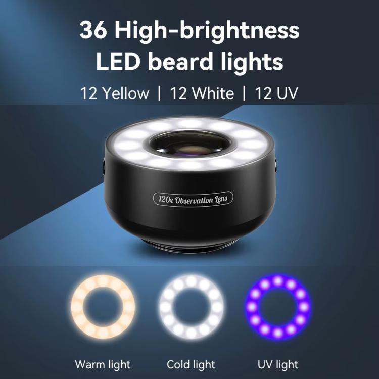 TBD06057097_B4.jpg@832bb6999497cbf8fd6bb6f741f604f8