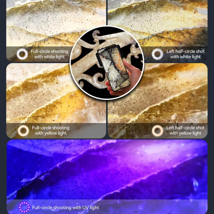 TBD06057097_B5.jpg@01009d45fc3d85faaaea9376e833da00