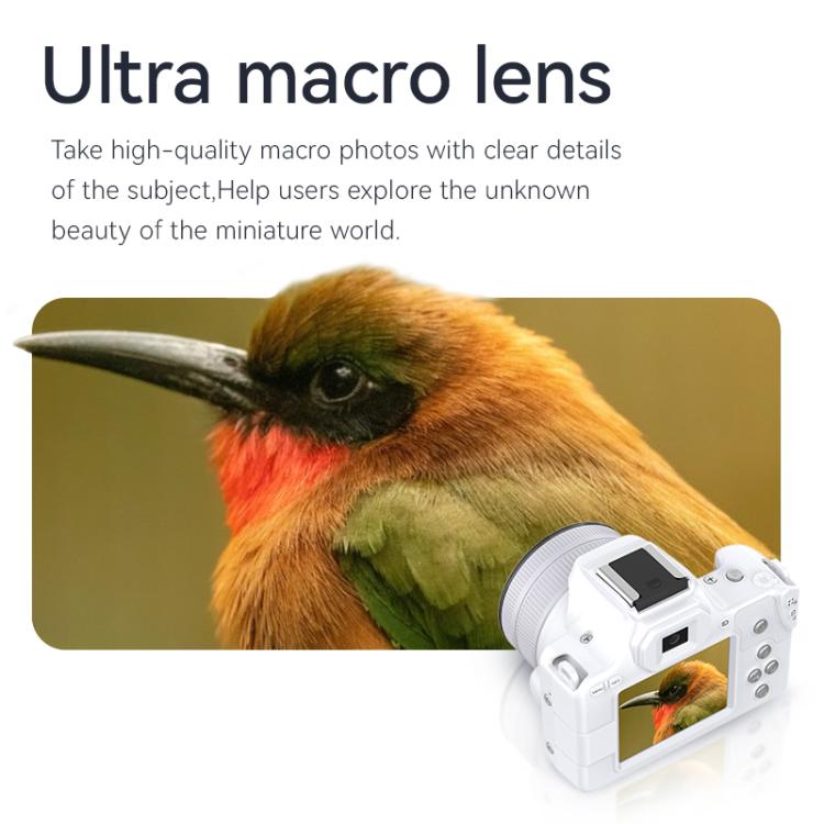 TBD06058286_B7.jpg@6090e459c5f689713e2ac9270f42c636