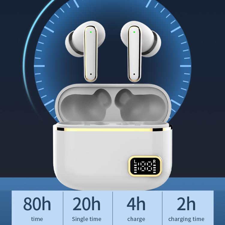 TBD06058841_B7.jpg@d3f1a32f8384db0bc5cf1c9ded952599