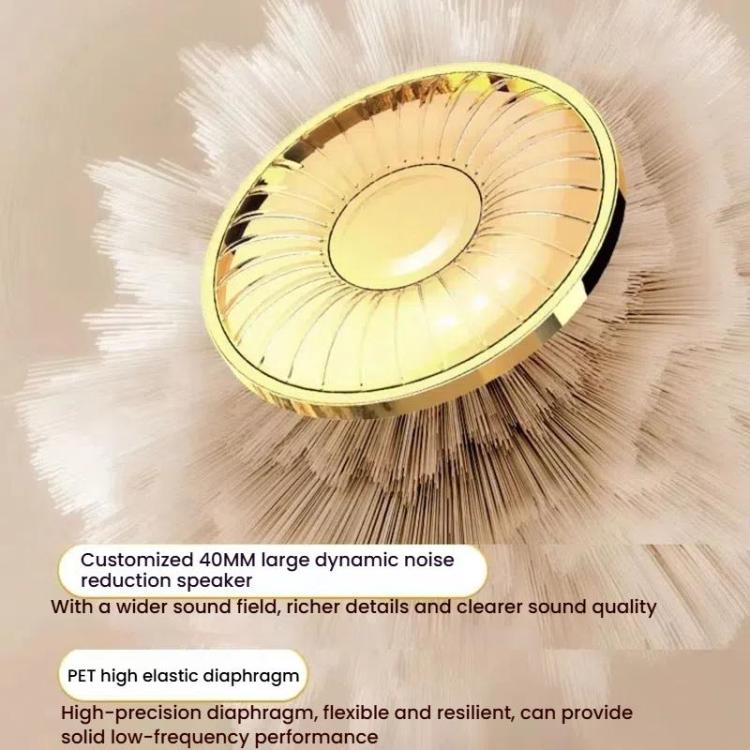 TBD06060460_B3.jpg@bd81a8845bfb94d36da0ea142cc5711c