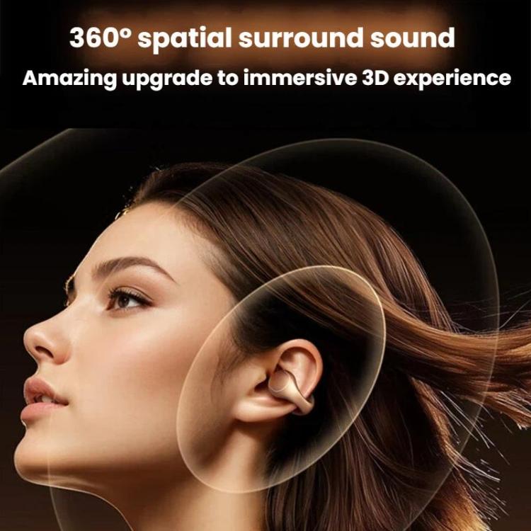 TBD06064178_B6.jpg@f94e4da082c855b7317d7718f9c7adc6