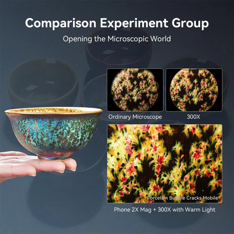 TBD06064282_B3.jpg@2a7da7a9fd78b7f8f992c990ba1e29a8