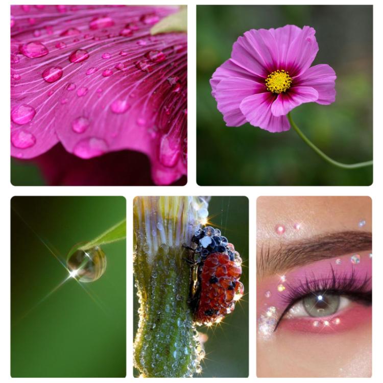 TBD06064286_B7.jpg@f19bf1d2a53bf41ae6565fe010542996