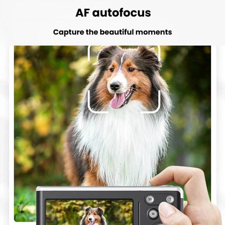 TBD06066376_B7.jpg@a025dbc65c530314f1b500a0a4402523