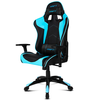 Silla Gamer Drift Dr300 Negro